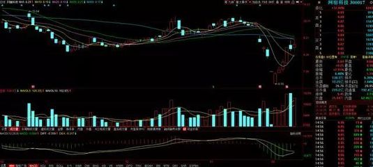 300017網宿主營業務蓄勢待發 計算機軟硬件及配件技術開發引領新增長