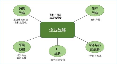 農業軟件開發戰略落地的路徑與銷售實踐
