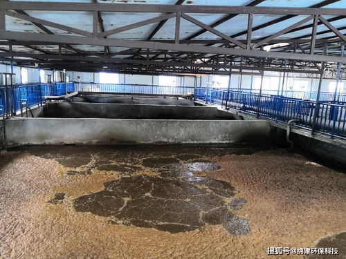 污水生化系統環保管家，綿津環保為企業保駕護航